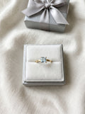 Silver Ring (Gold Plated)