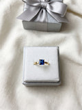 Silver Ring (Gold Plated)