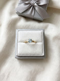 Silver Ring (Gold Plated)