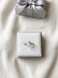 Silver Ring (Gold Plated)