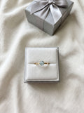 Silver Ring (Gold Plated)
