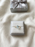 Silver Ring (Gold Plated)